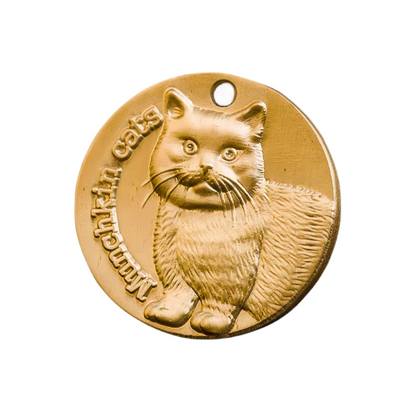 Cat Tag ID  Pet Collar Cat Tag Name and Message Pet Information Customization and Carving