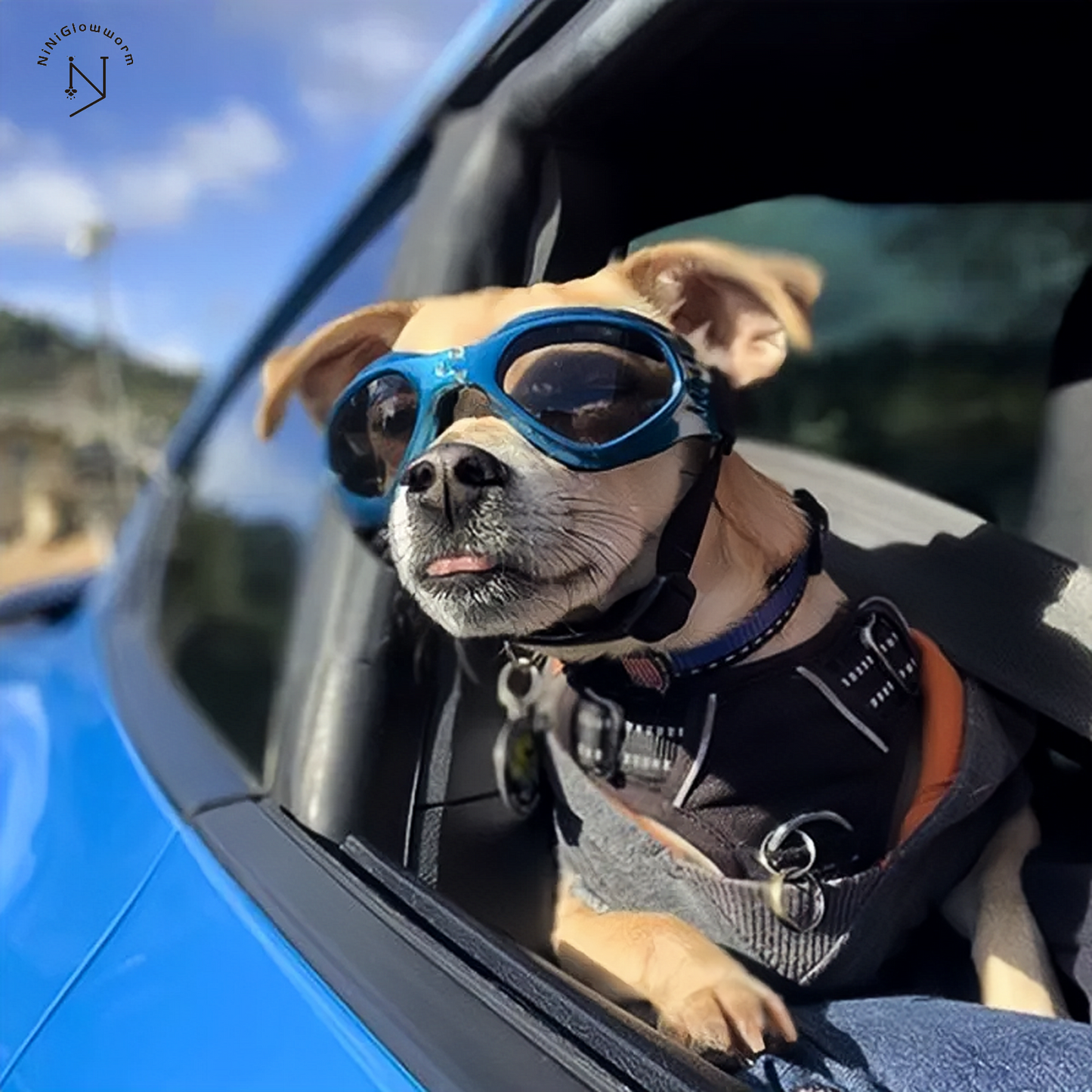 Dog Goggles Small Breed Foldable Sunglasses Dog Fashion Accessories