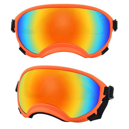 Dog Goggles for Outdoor Exploration Desert Hiking