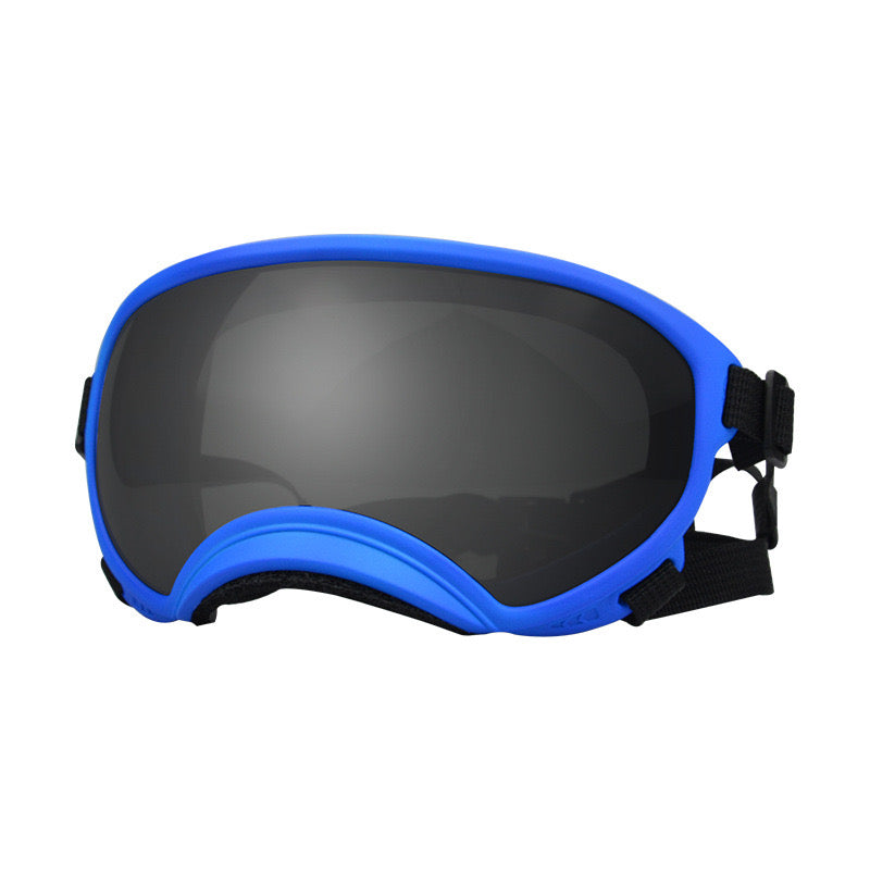Dog Goggles for Outdoor Skiing