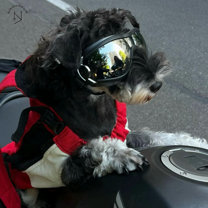 Dog Goggles Cycling and Motorcycle Rides Sunglasses