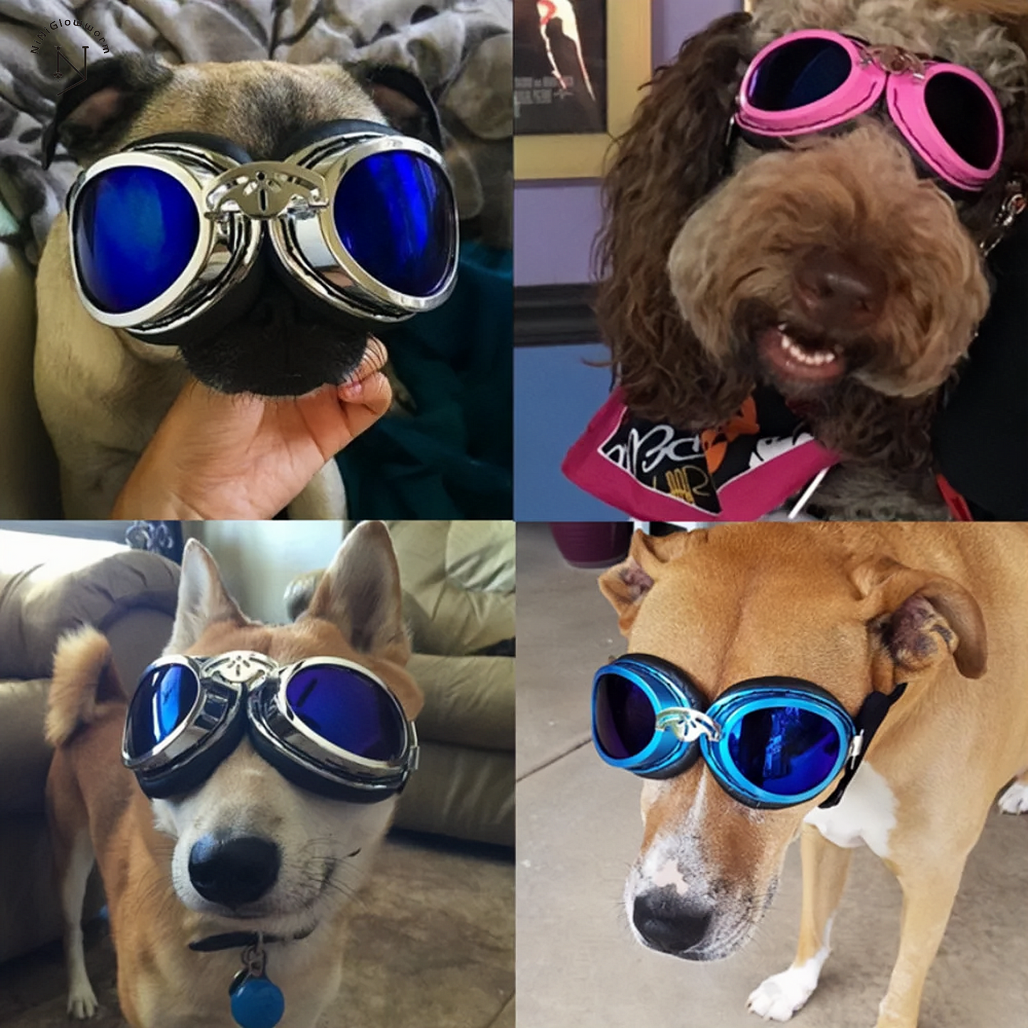Dog Sunglasses Medium & Large Dogs Goggles