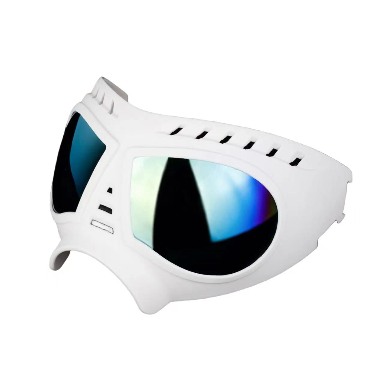 Large Dog Goggles Sunglasses Suitable for Outdoor Ski Drive Ride