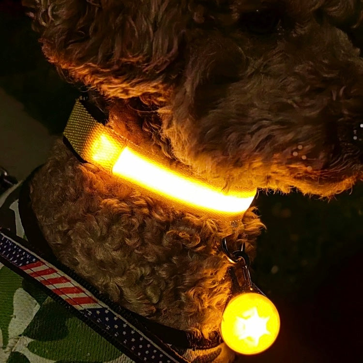 LED Cat and Dog Collar Pendant Night Walking Light