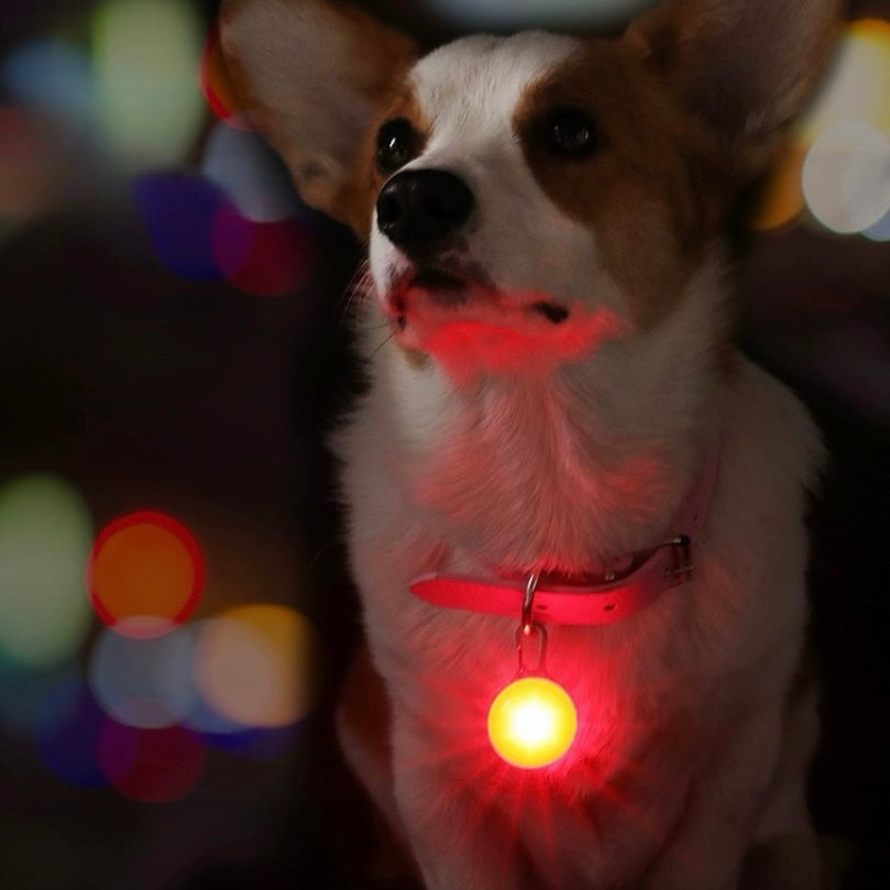LED Cat and Dog Collar Pendant Night Walking Light