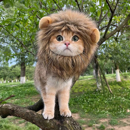 Lion Mane Cat Hat Funny Pet Clothing