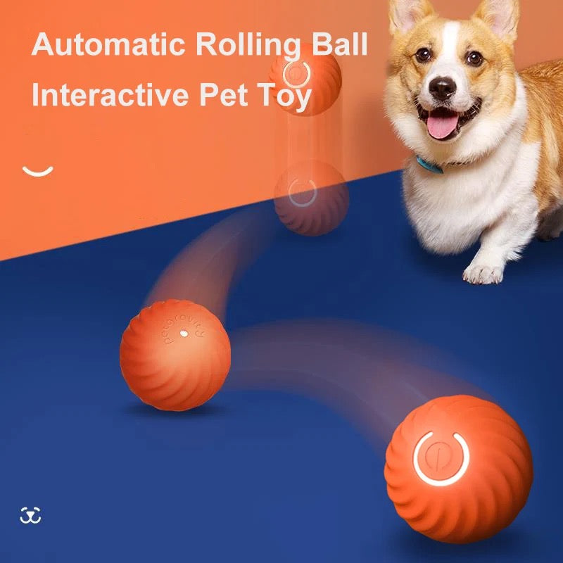 Pet Toy Cat and Dog Electric Interactive Ball, Durable Pet Chasing Toy Ball