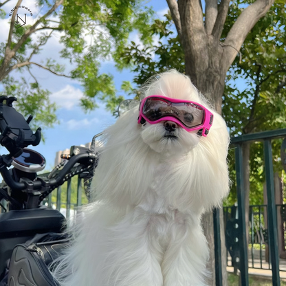 Small Dog Goggles UV Protection Sunglasses