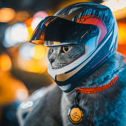 Cat Helmet Motorcycle