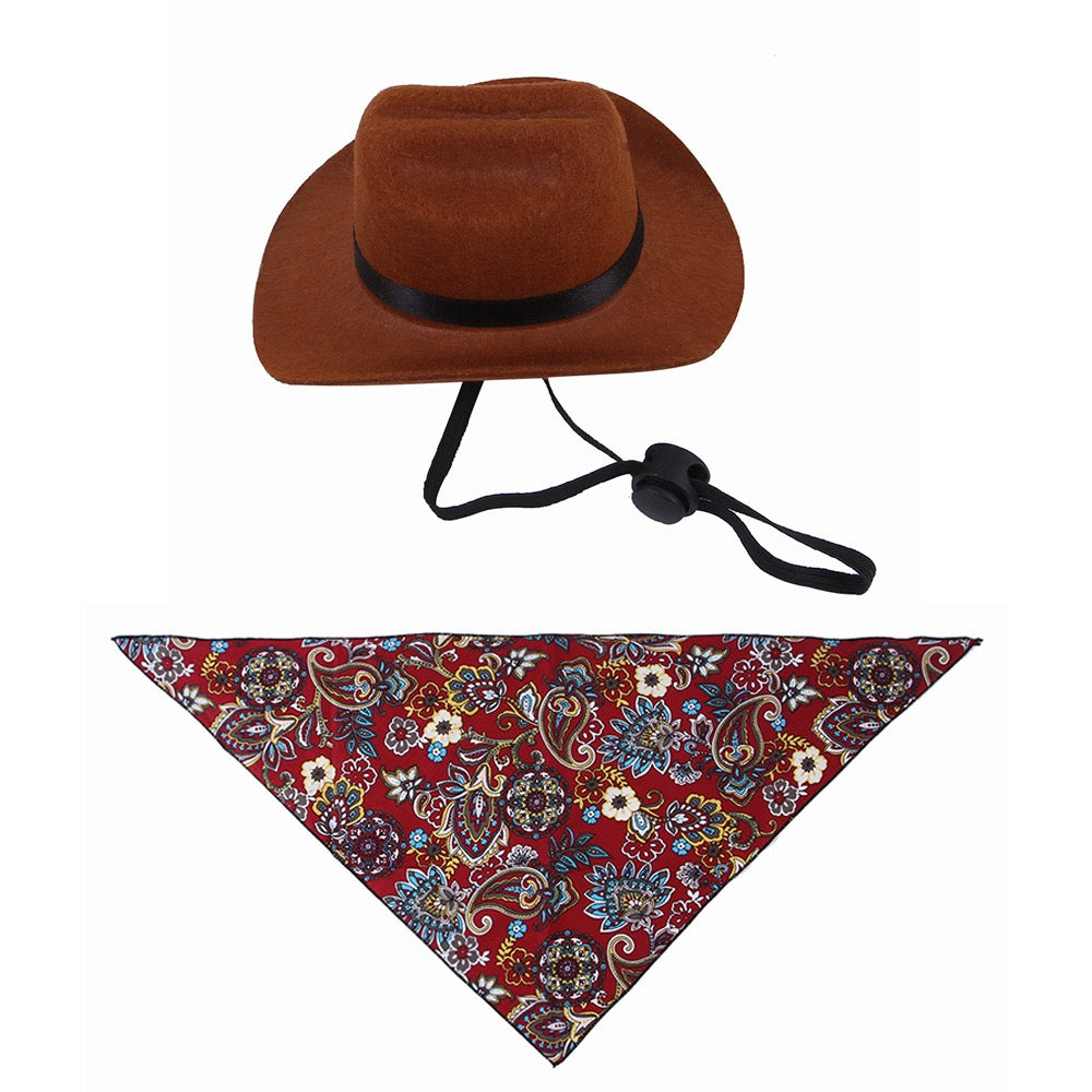 The in Cat Hat and Cowboy Dog Hat Scarf Giveaway