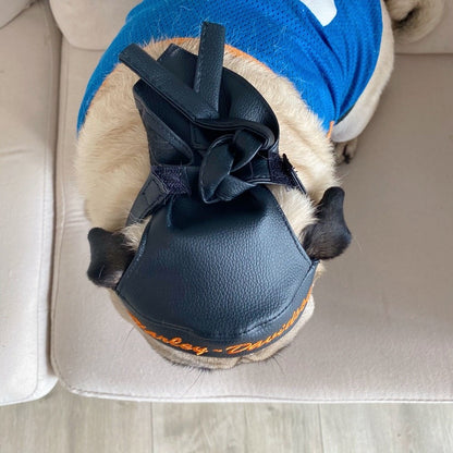 Dog Hat With Ear Holes for Pug Dog and French Bulldog