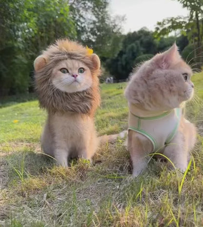 Lion Mane Cat Hat Funny Pet Clothing